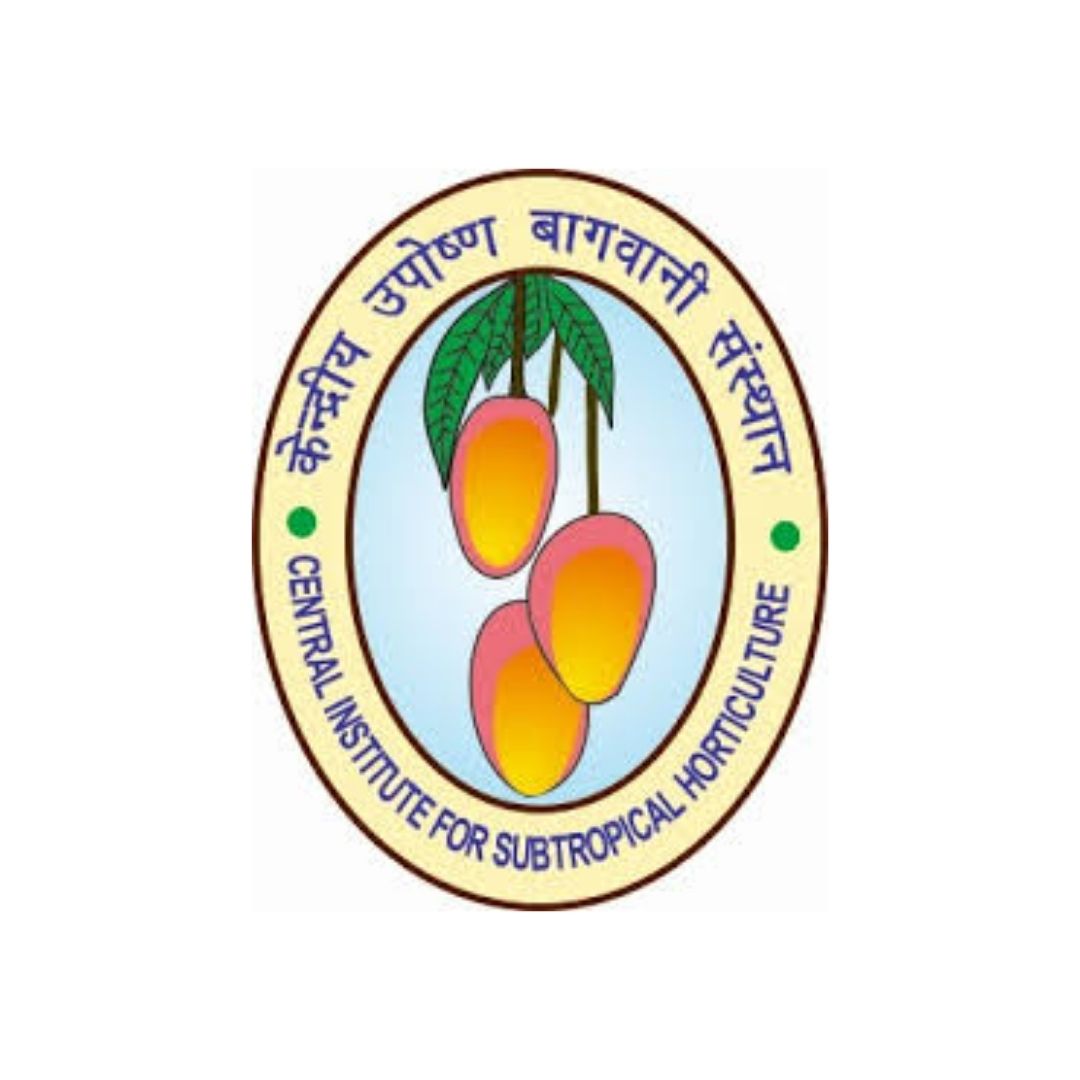 CISH Logo