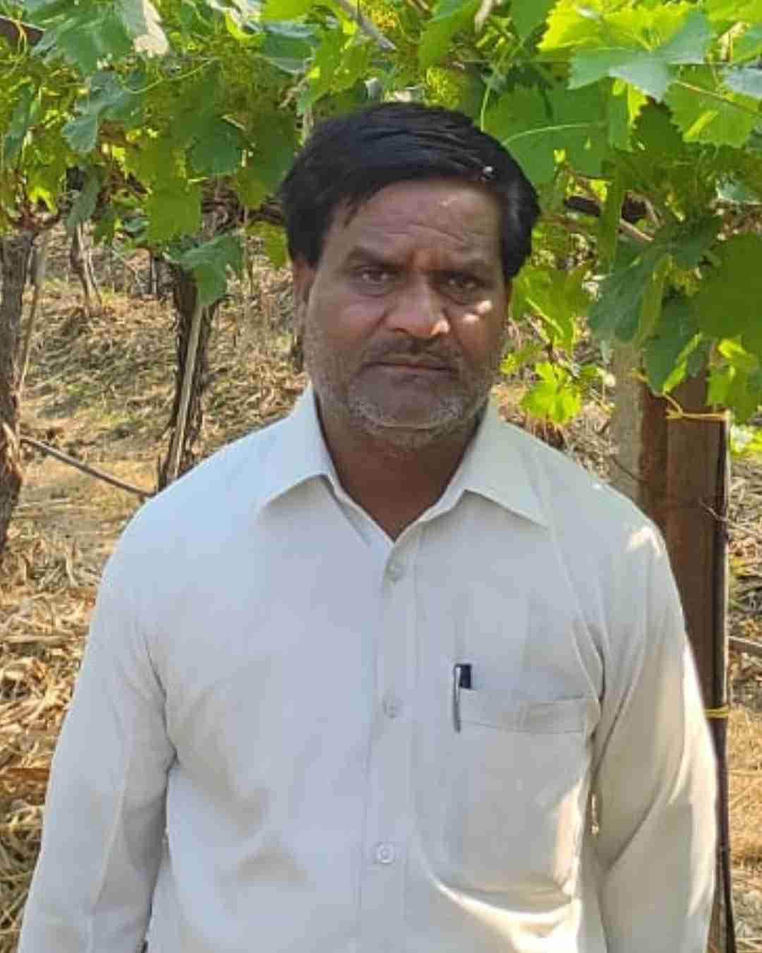 Portrait of Fyllo customer farmer showing crop yield success