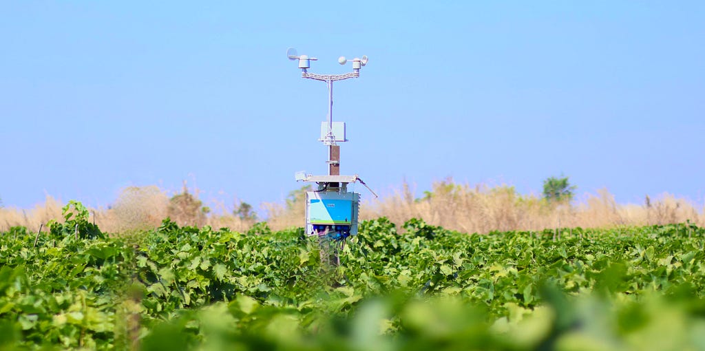 5 Reasons Why Precision Agriculture is Vital for Today’s Farming