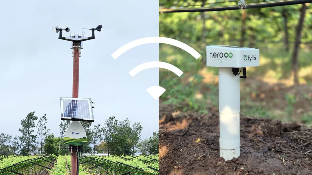 Precision Farming in India: How Data-Driven Agriculture Actually Works