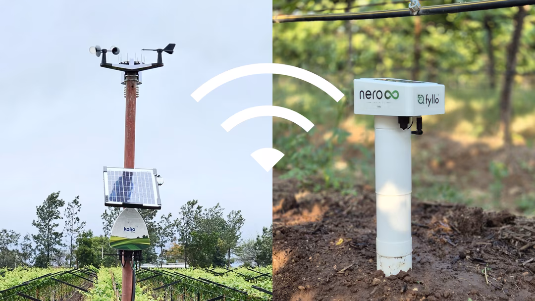 Smart Farming in India: Technologies, Companies and What's Actually Working