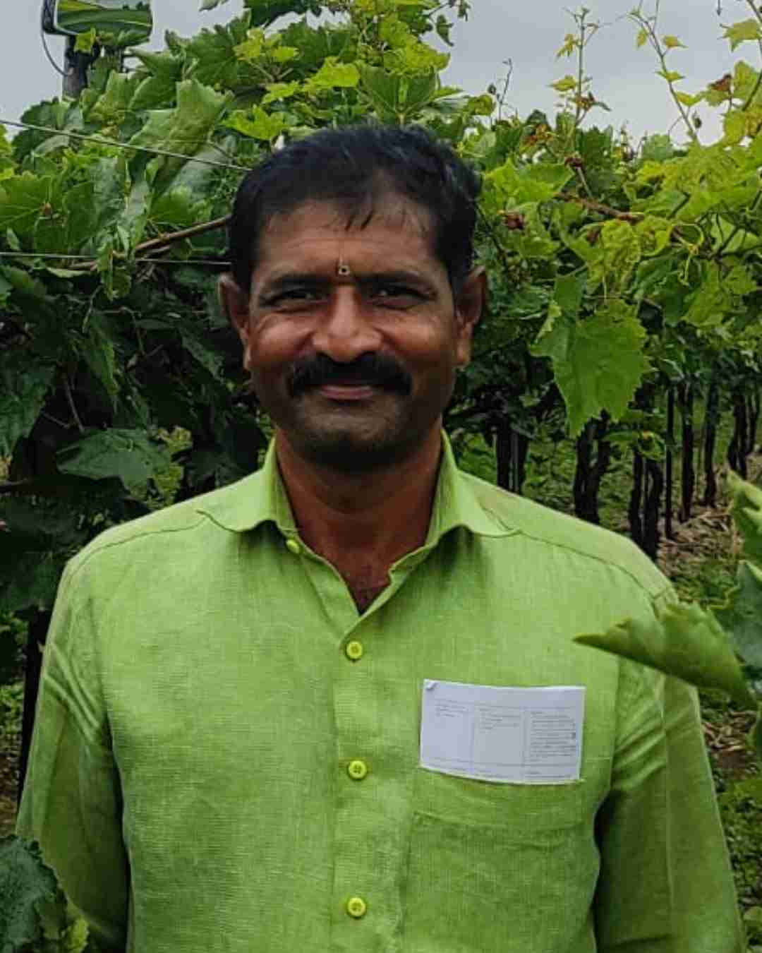 Portrait of a Fyllo grape farmer smiling next to a healthy vineyard in Maharashtra.