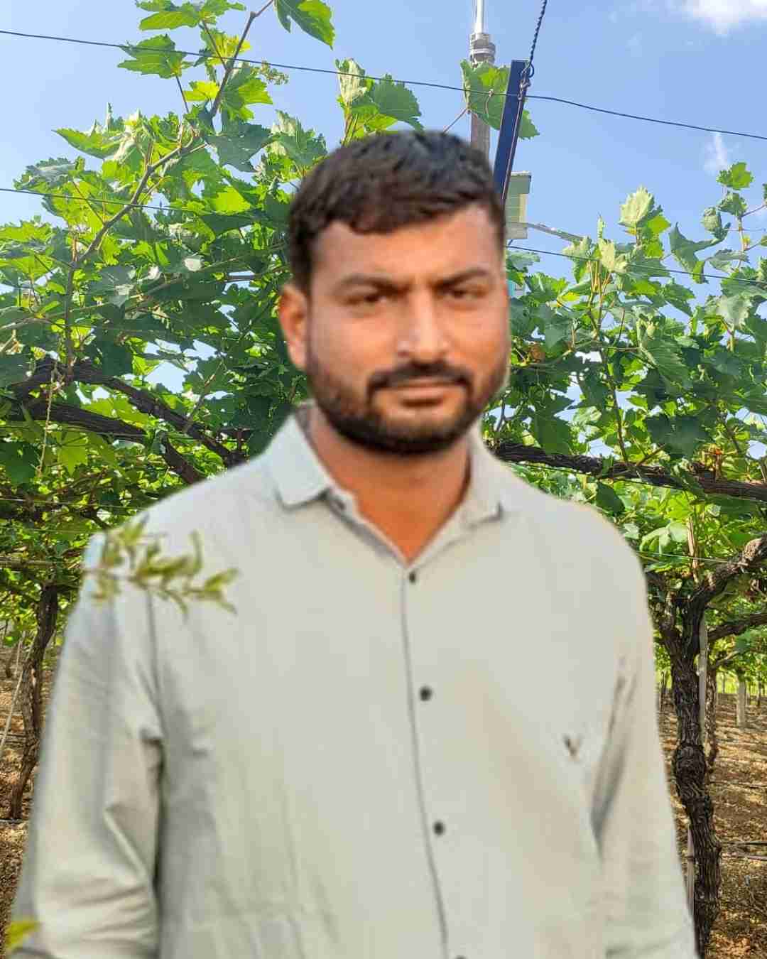 A proud sugarcane farmer standing next to tall sugarcane stalks in Uttar Pradesh.