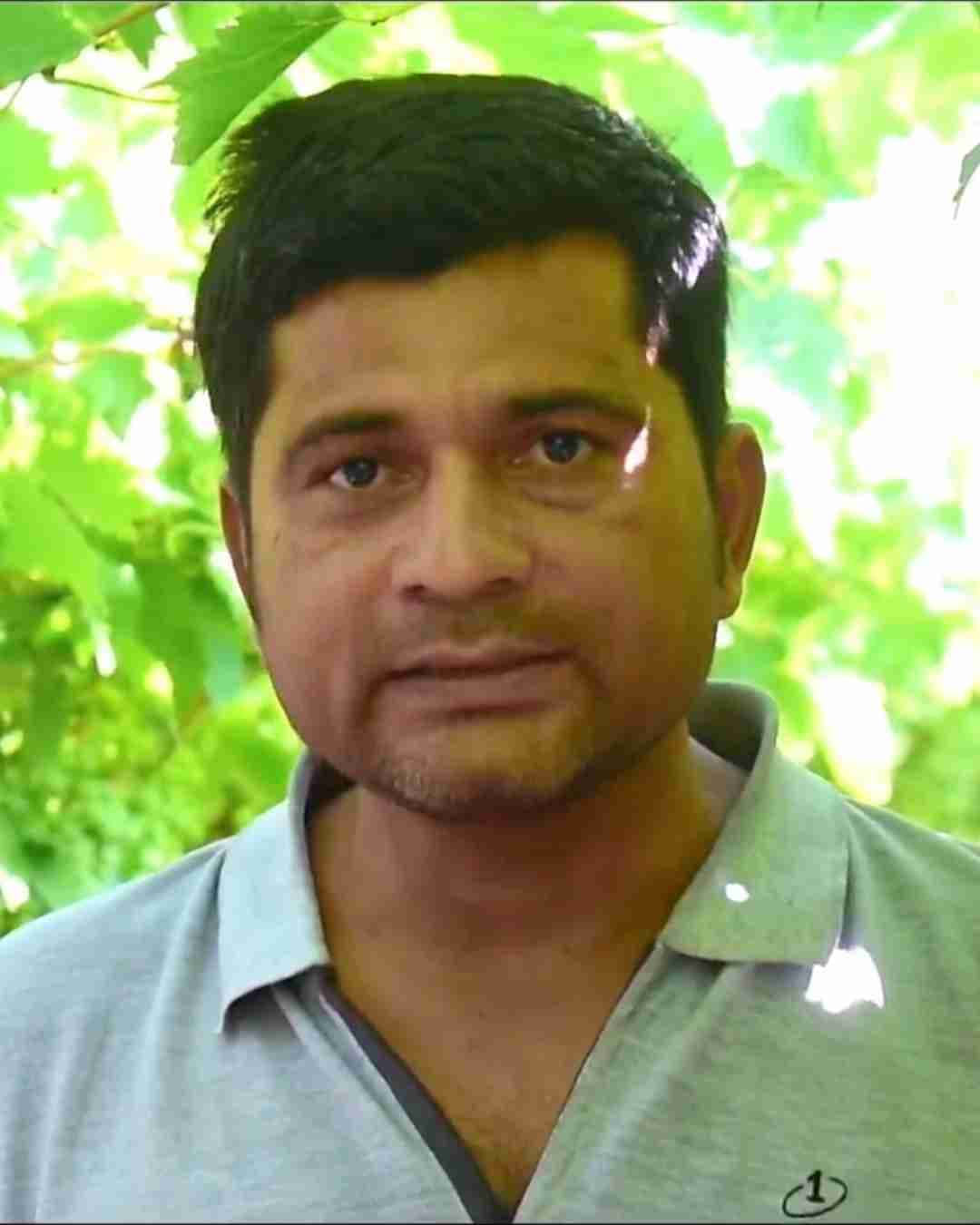 A mango orchard farmer showing premium Alphonso mangoes in Ratnagiri.