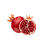 Pomegranate icon