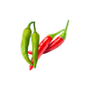 Chilli icon
