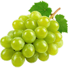 Grapes icon