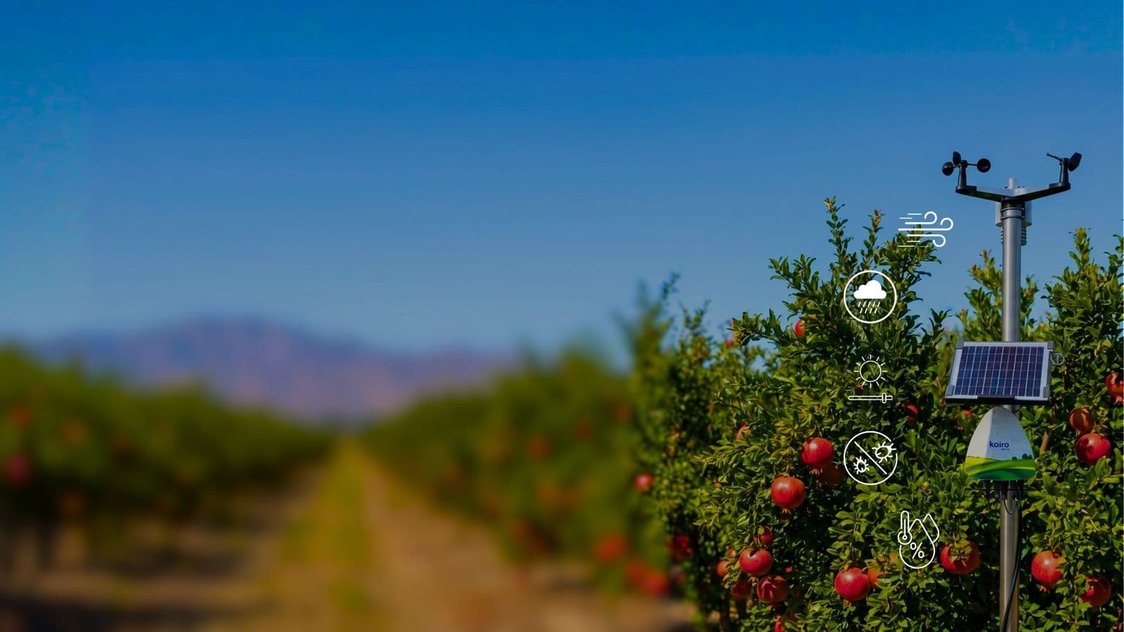 Fyllo Kairo compact farm weather station installed on a pole in an open agricultural field