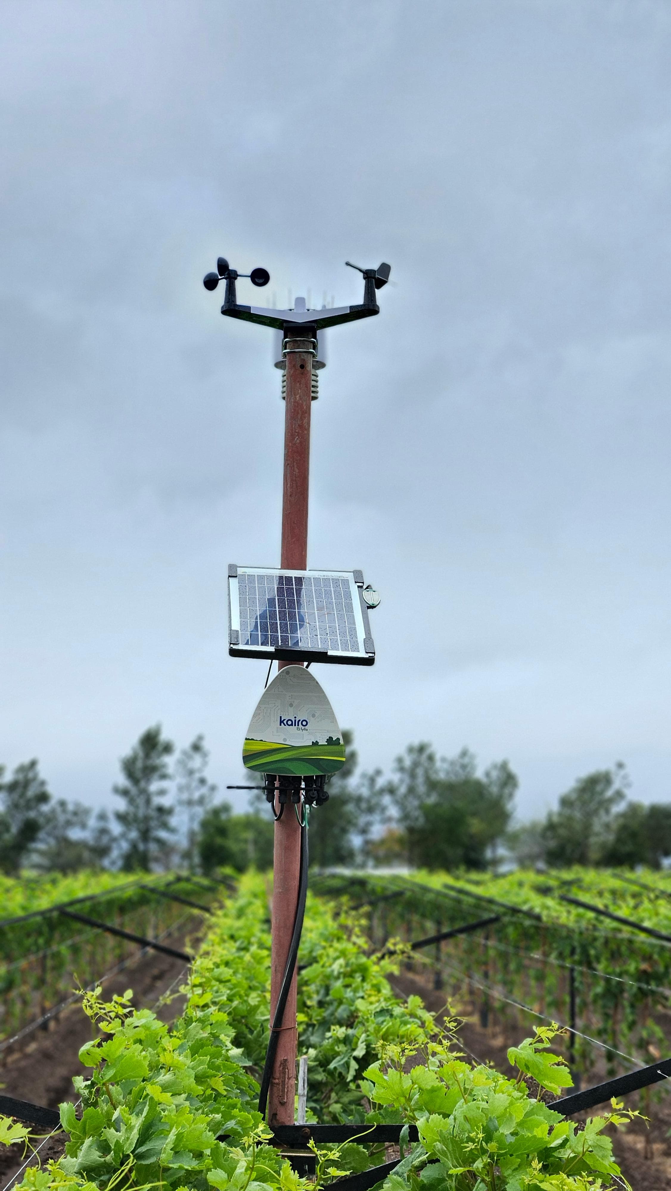 Fyllo Kairo compact farm weather station with wind, rain, and solar radiation sensors
