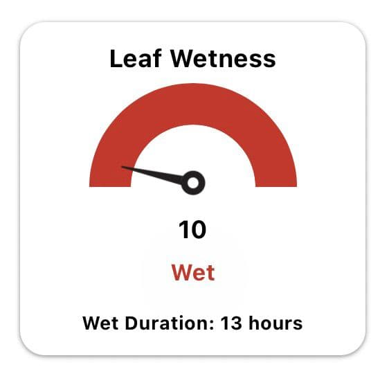 Leaf Wetness