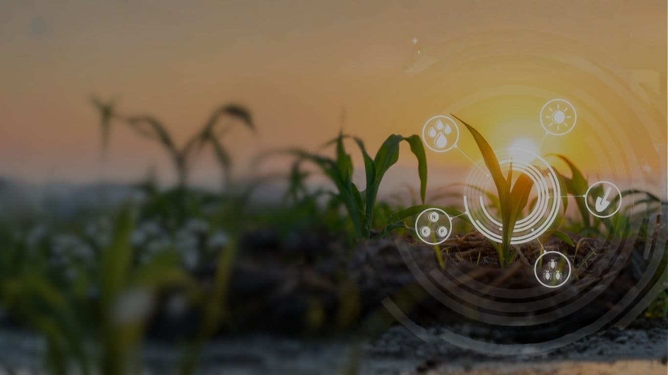 Fyllo precision agriculture platform solutions for water savings and disease prediction on high-value crops