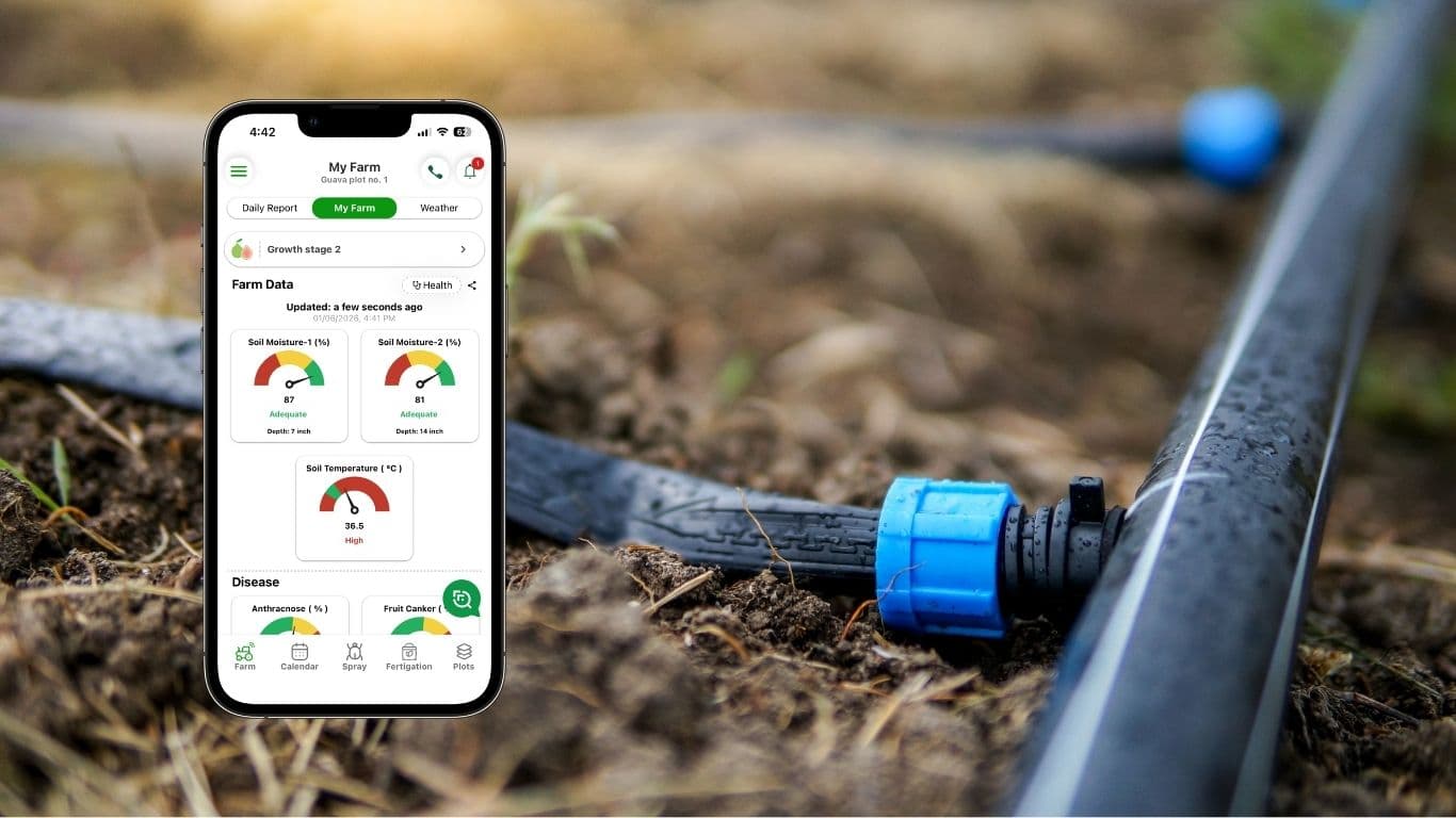 The Benefits of Precise Irrigation for Orchard Farmers: Yield, Water Savings & Soil Health