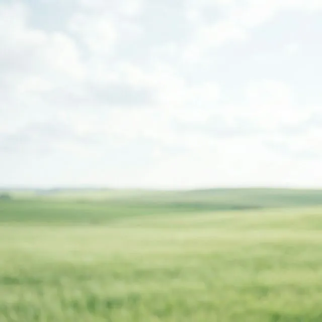 Field silhouette