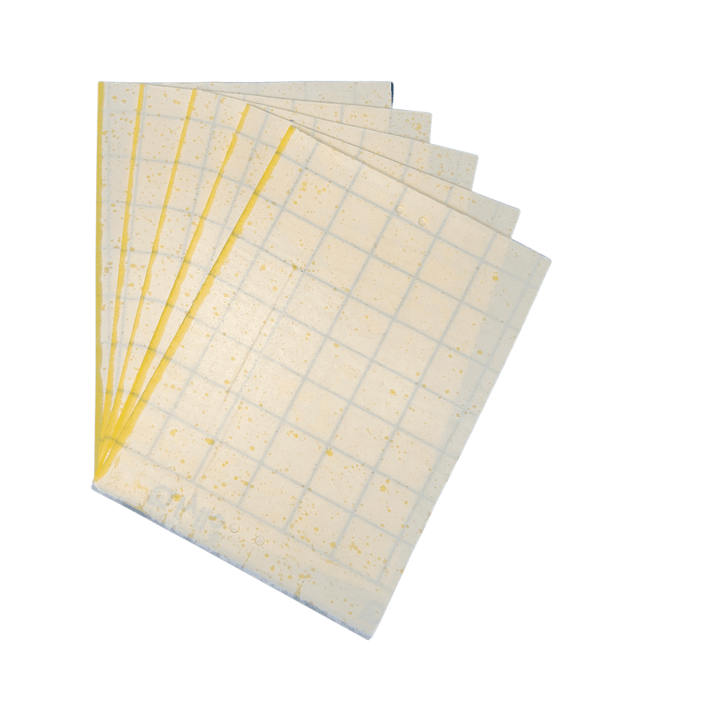 5 Yellow AI Traps