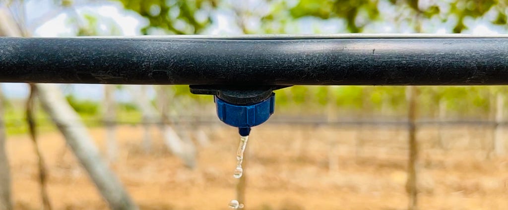 The Benefits of Precise Irrigation for Orchard Farmers