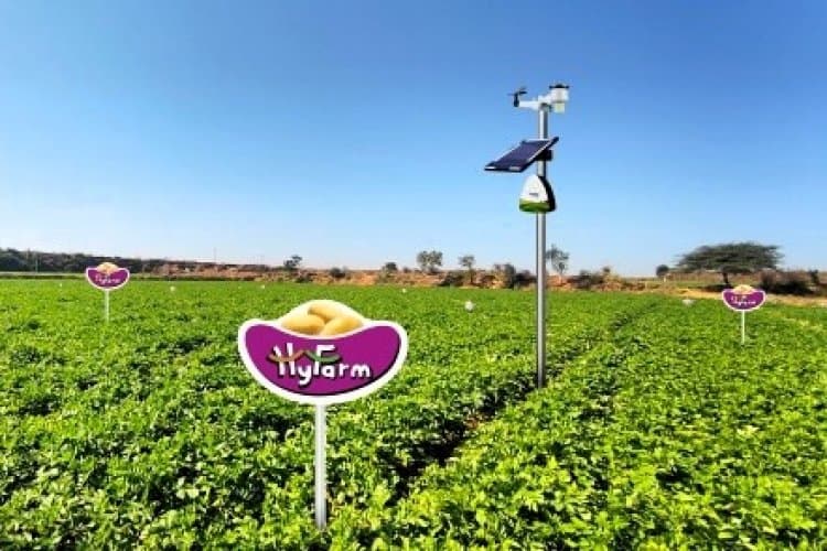 बटाटा शेतीसाठी AI आणि IoT-आधारित अचूक शेतीला चालना देण्यासाठी HyFarm आणि फायलो एकत्र