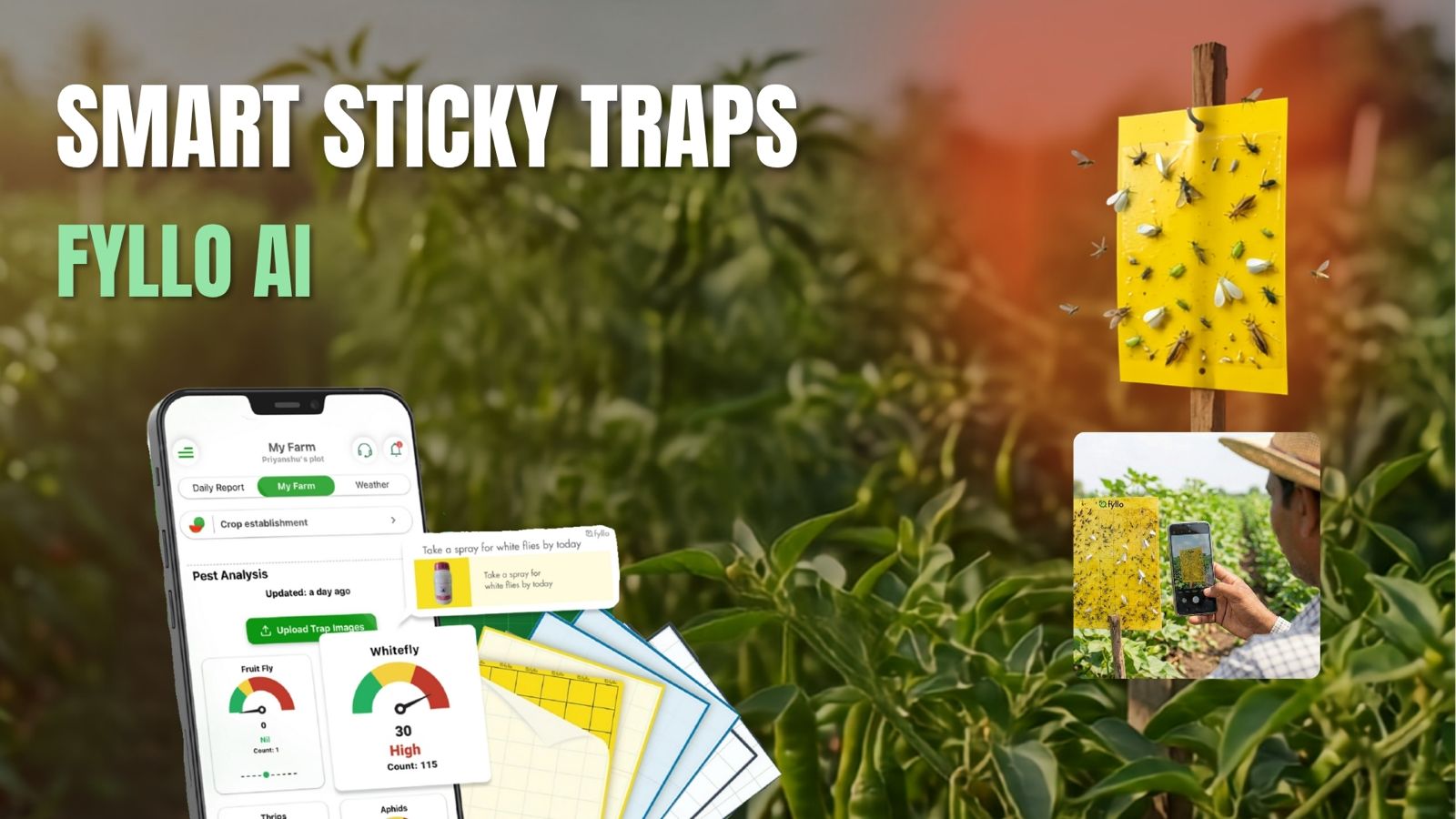 Smart Sticky Traps in Field